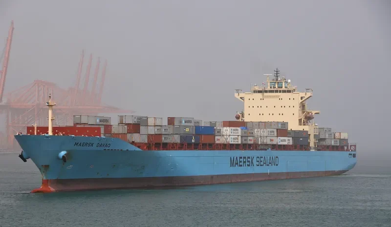 MSC MANZANILLO Container Ship IMO 9289960 photo 2