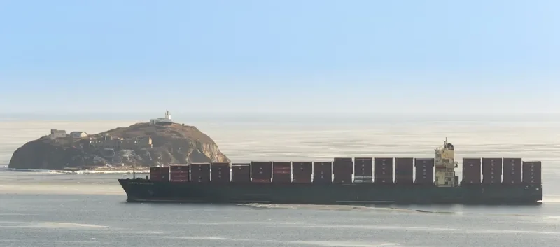 MSC MANZANILLO Container Ship IMO 9289960 photo 3