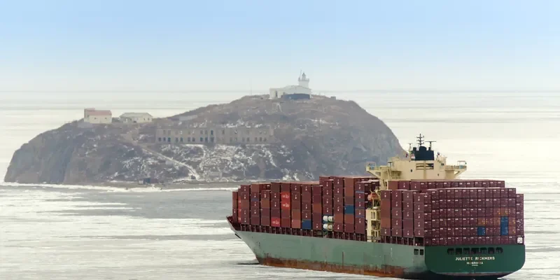 MSC MANZANILLO Container Ship IMO 9289960 photo 4
