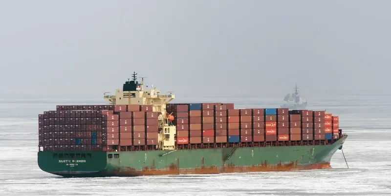 MSC MANZANILLO Container Ship IMO 9289960 photo 5