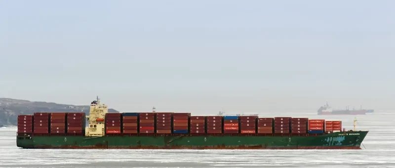 MSC MANZANILLO Container Ship IMO 9289960 photo 6