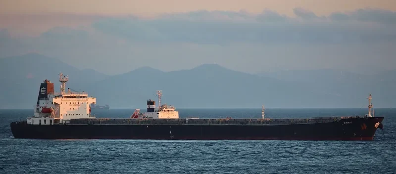 DANAE Bulk Carrier IMO 9290141
