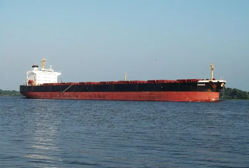 DANAE Bulk Carrier IMO 9290141 photo 2