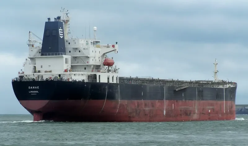 DANAE Bulk Carrier IMO 9290141 photo 4