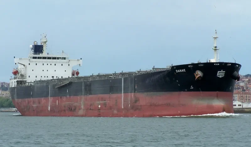 DANAE Bulk Carrier IMO 9290141 photo 6