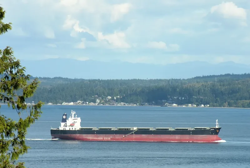 SPITHA Bulk Carrier IMO 9290153 photo 9