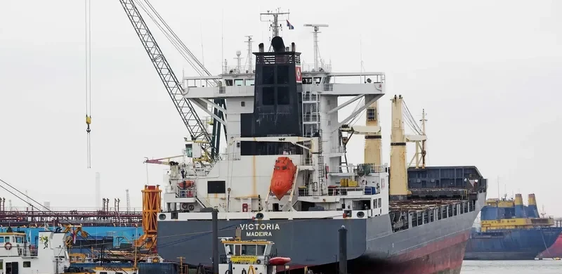 VICTORIA Container Ship IMO 9290165