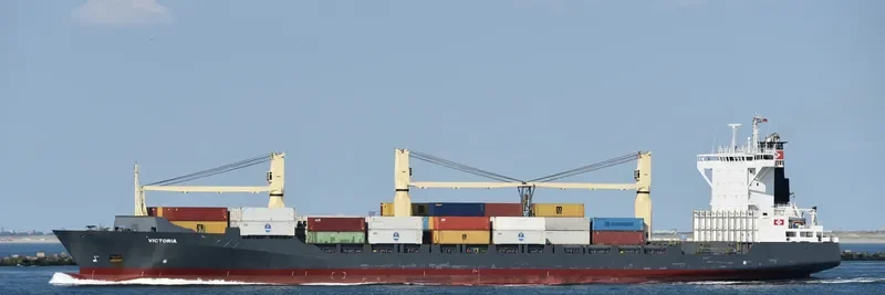 VICTORIA Container Ship IMO 9290165 photo 7