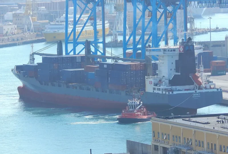 VERA D Container Ship IMO 9290177 photo 3