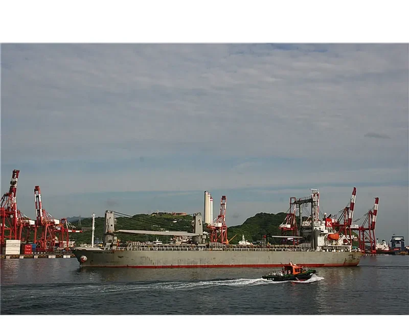TAN BINH 99 General Cargo IMO 9290189 photo 3