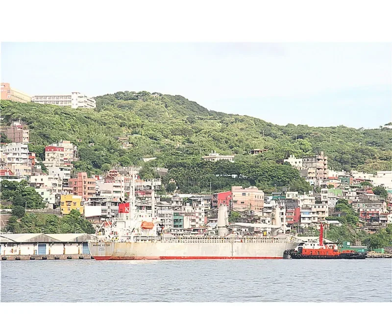TAN BINH 99 General Cargo IMO 9290189 photo 4