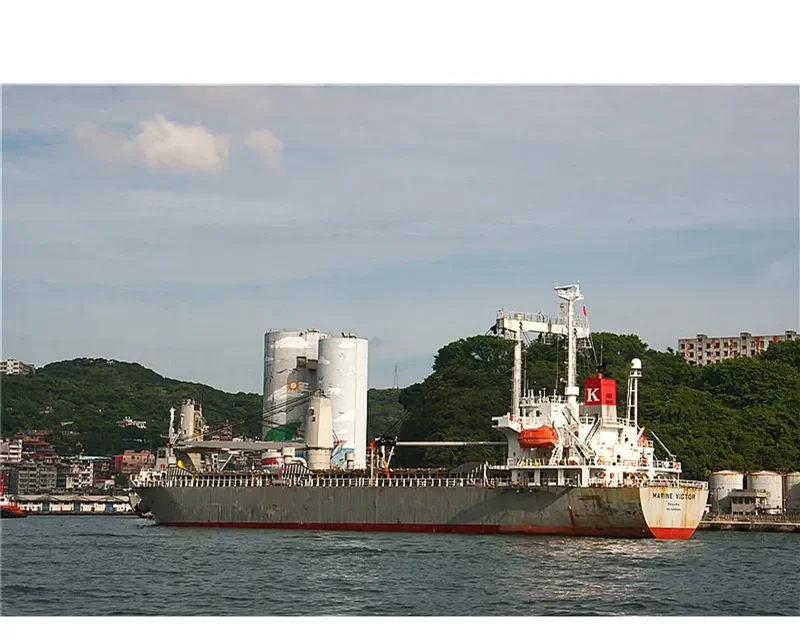 TAN BINH 99 General Cargo IMO 9290189 photo 5