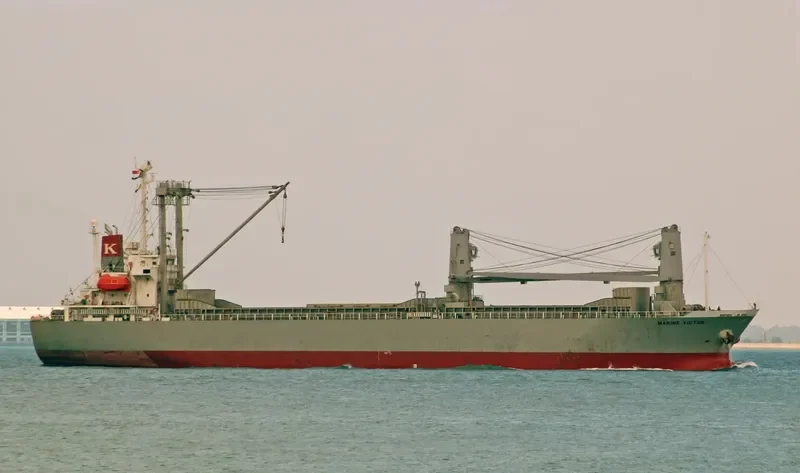 TAN BINH 99 General Cargo IMO 9290189 photo 9
