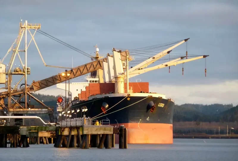 SHENG HUA Bulk Carrier IMO 9290244 photo 3