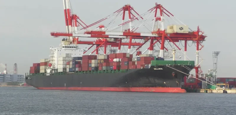 BELLAVIA Container Ship IMO 9290440 photo 8