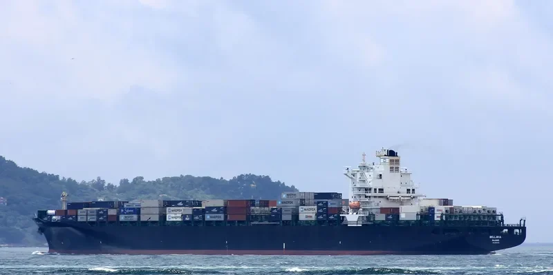 BELLAVIA Container Ship IMO 9290440 photo 10