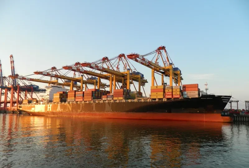 SEAMAX NORWALK Container Ship IMO 9290464