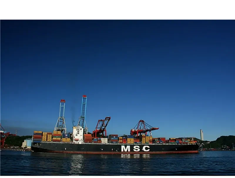 MSC PAMELA Container Ship IMO 9290531 photo 5