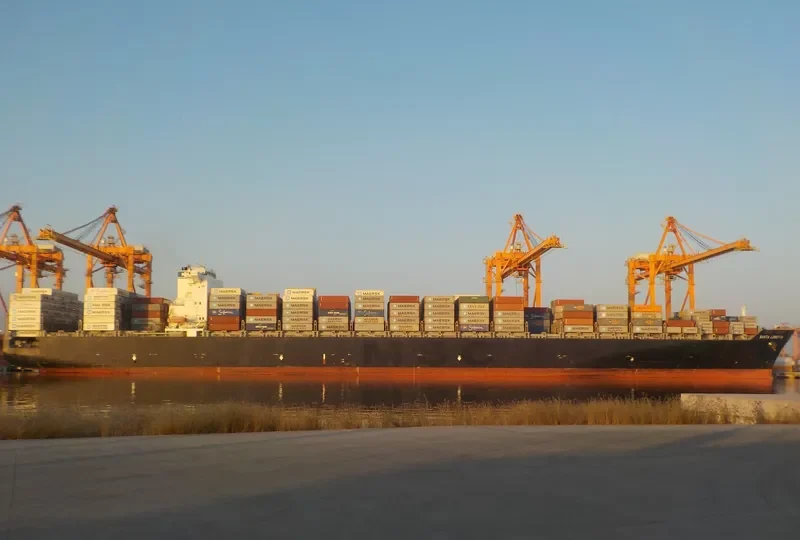 ZIM HONG KONG Container Ship IMO 9290567 photo 3