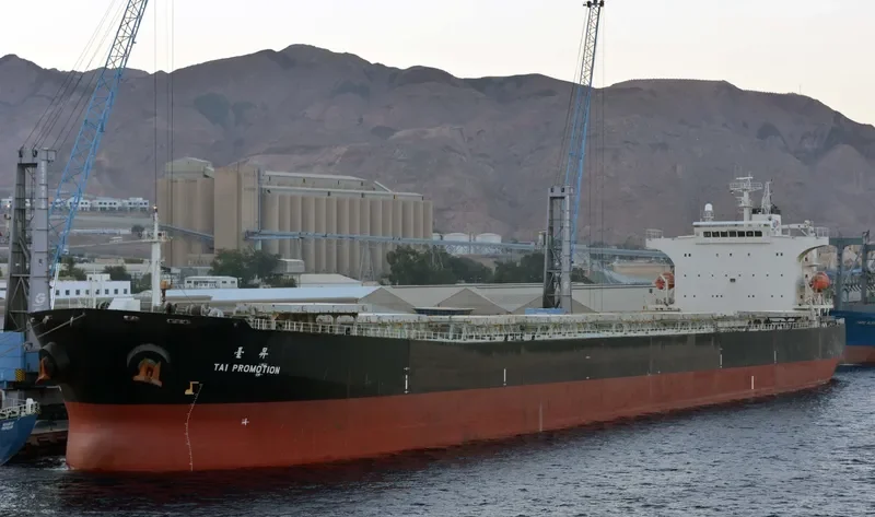 TAI PROMOTION Bulk Carrier IMO 9290696