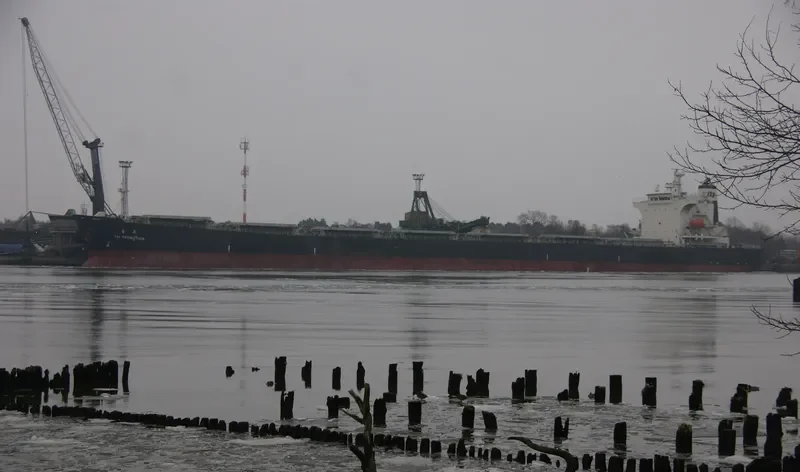 TAI PROMOTION Bulk Carrier IMO 9290696 photo 6