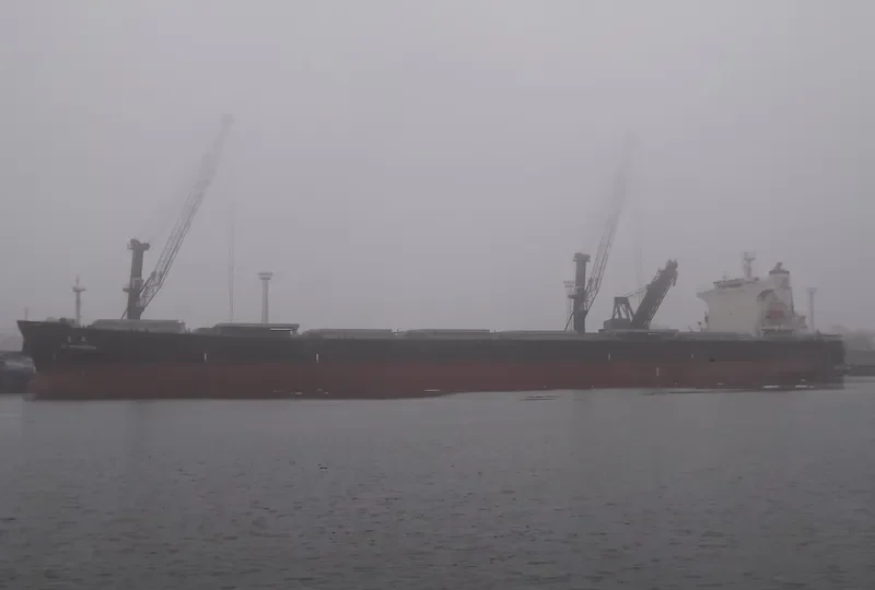 TAI PROMOTION Bulk Carrier IMO 9290696 photo 9