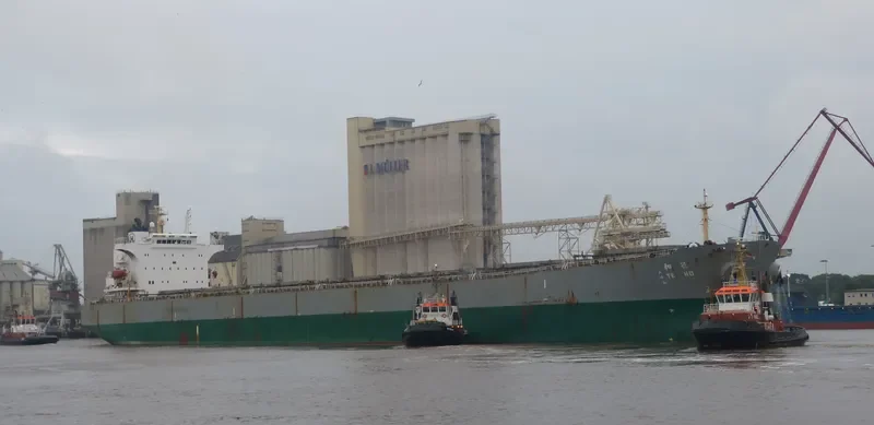 NEW HORIZON Bulk Carrier IMO 9290701 photo 3