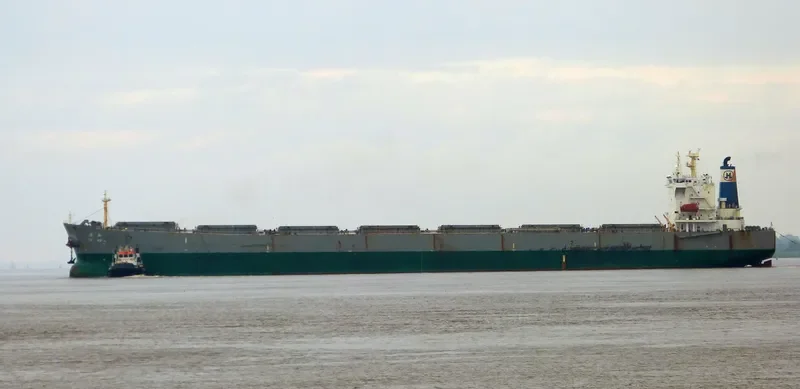 NEW HORIZON Bulk Carrier IMO 9290701 photo 6