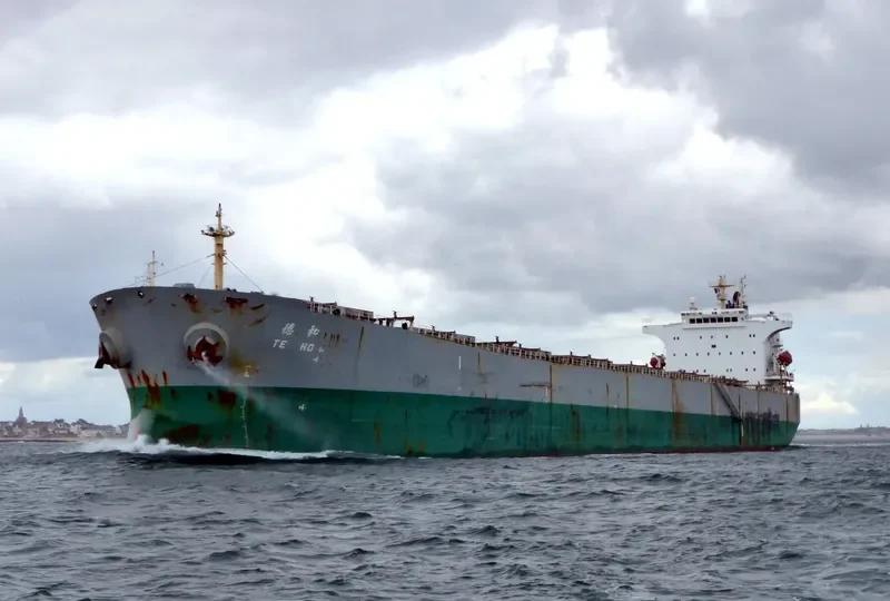 NEW HORIZON Bulk Carrier IMO 9290701 photo 8