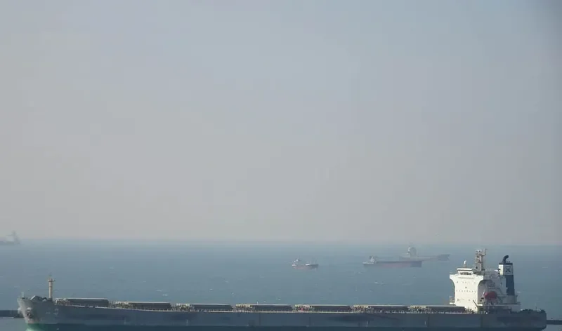 NEW HARVEST Bulk Carrier IMO 9290713