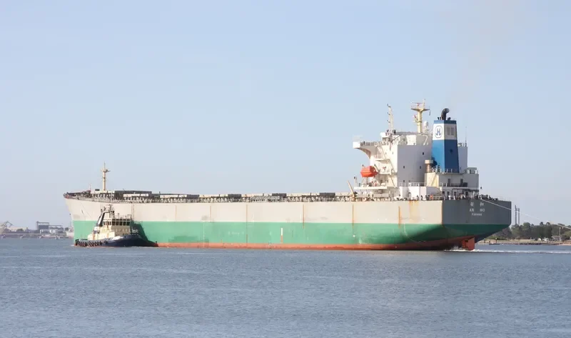 NEW HARVEST Bulk Carrier IMO 9290713 photo 6