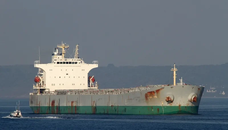 NEW HARVEST Bulk Carrier IMO 9290713 photo 9