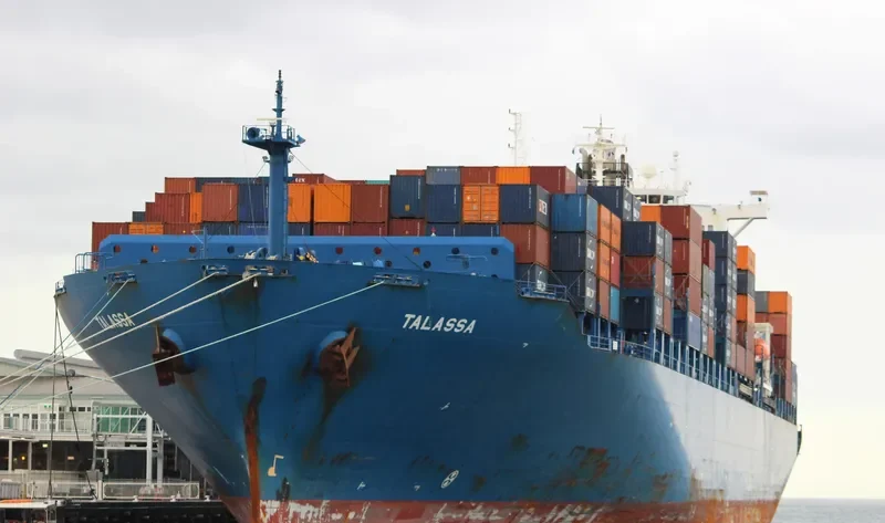 TALASSA Container Ship IMO 9290787