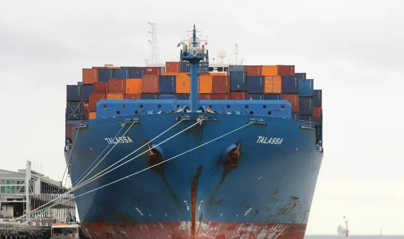 TALASSA Container Ship IMO 9290787 photo 3