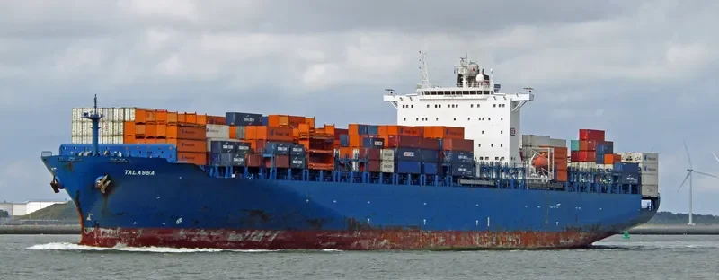 TALASSA Container Ship IMO 9290787 photo 4