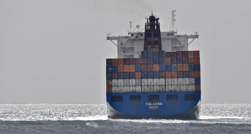 TALASSA Container Ship IMO 9290787 photo 8