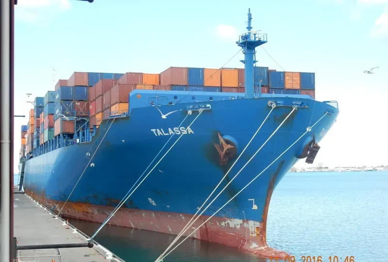 TALASSA Container Ship IMO 9290787 photo 10