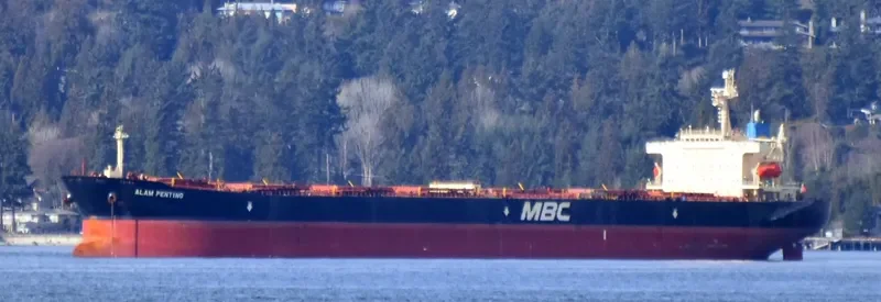NAVIOS APOLLON I Bulk Carrier IMO 9290842