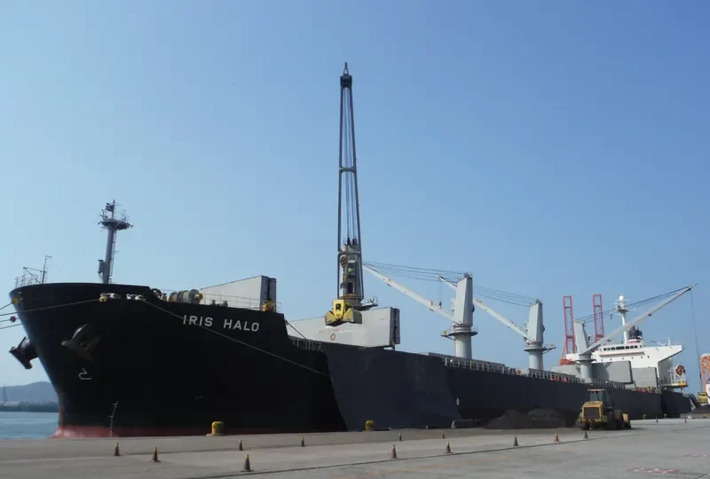 IBRAHIM JAHAN Bulk Carrier IMO 9290854 photo 2