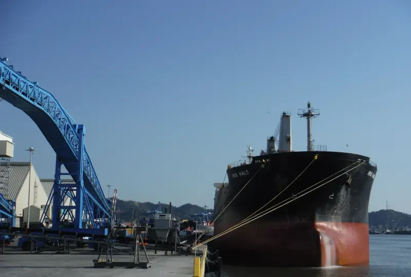IBRAHIM JAHAN Bulk Carrier IMO 9290854 photo 4