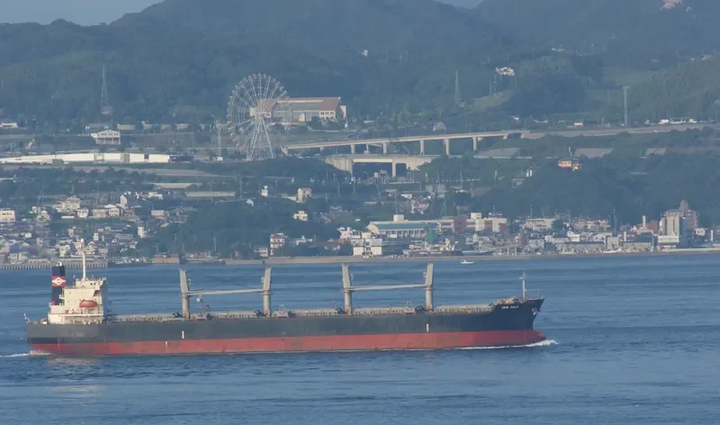 IBRAHIM JAHAN Bulk Carrier IMO 9290854 photo 6