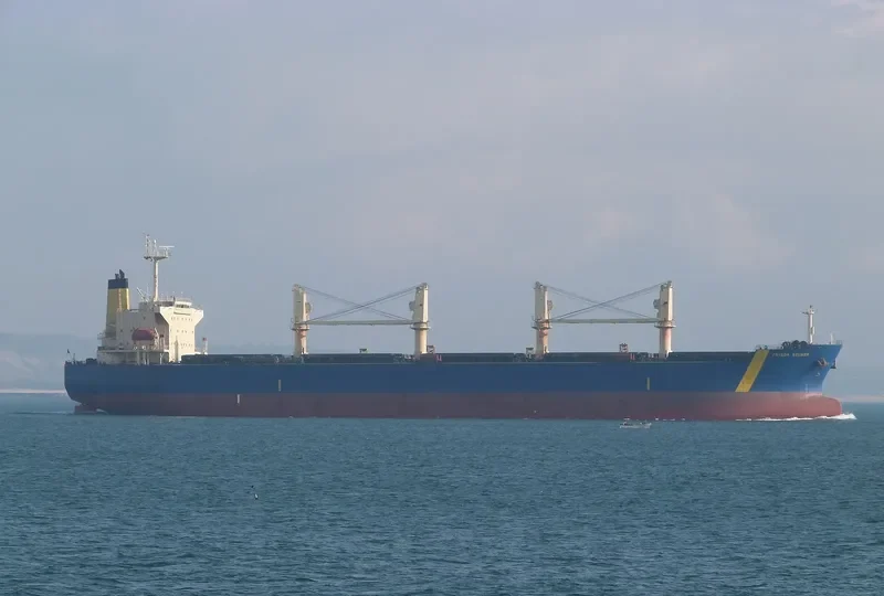 FRIEDA SELMER Bulk Carrier IMO 9290866