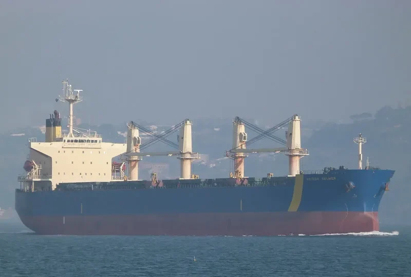FRIEDA SELMER Bulk Carrier IMO 9290866 photo 2
