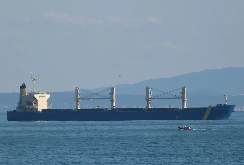 FRIEDA SELMER Bulk Carrier IMO 9290866 photo 3