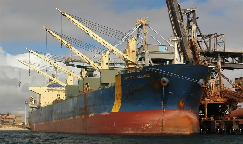FRIEDA SELMER Bulk Carrier IMO 9290866 photo 4