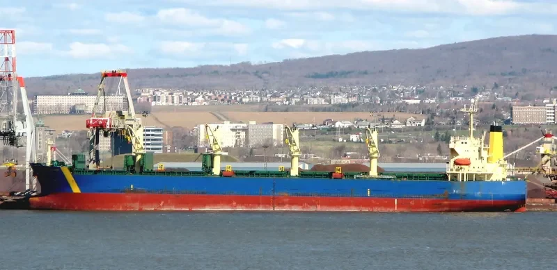 FRIEDA SELMER Bulk Carrier IMO 9290866 photo 5