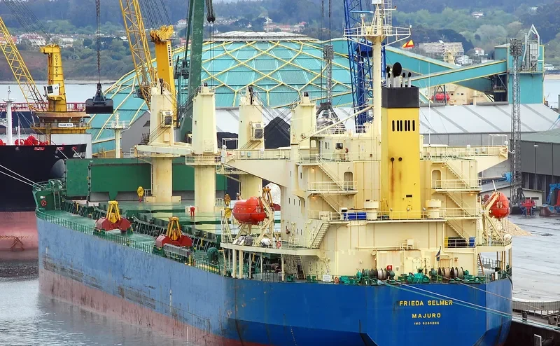 FRIEDA SELMER Bulk Carrier IMO 9290866 photo 6