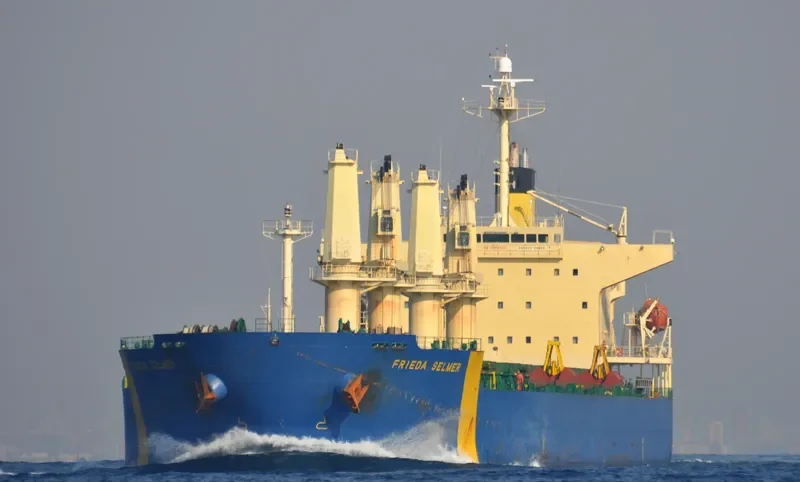 FRIEDA SELMER Bulk Carrier IMO 9290866 photo 7