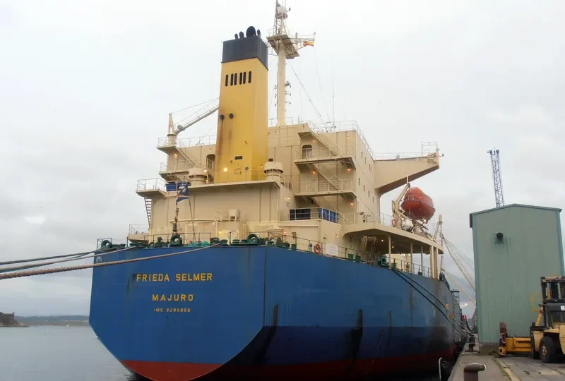 FRIEDA SELMER Bulk Carrier IMO 9290866 photo 8