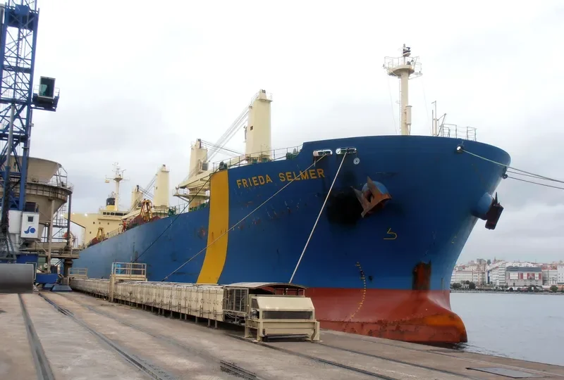 FRIEDA SELMER Bulk Carrier IMO 9290866 photo 9